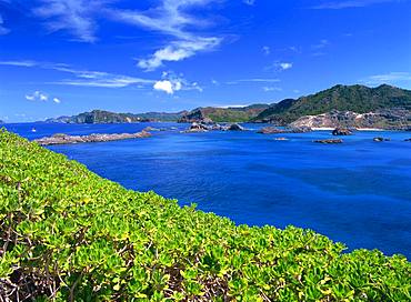 Ogasawara Islands, Father Island, Tokyo, Japan