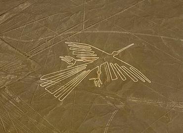 Nazca Lines (Condor)