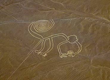 Nazca Lines (Monkey)