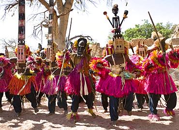 Dogon Dance, Tireli