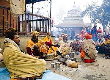 Sadhu in Shiva Ratri