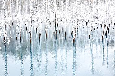 Hokkaido, Japan