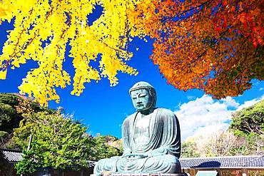 Daibutsu, Kamakura, Japan