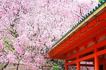 Kyoto, Japan