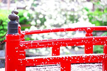 Kyoto, Japan