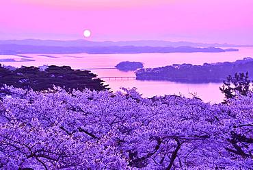 Miyagi Prefecture, Japan