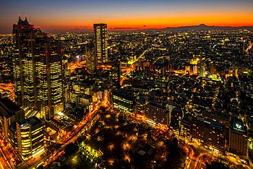 Shinjuku nightscape, Tokyo, Japan