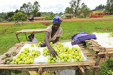 Uganda, Africa