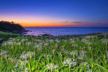 Fukuoka Prefecture, Japan