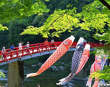 Koran Valley, Aichi, Japan