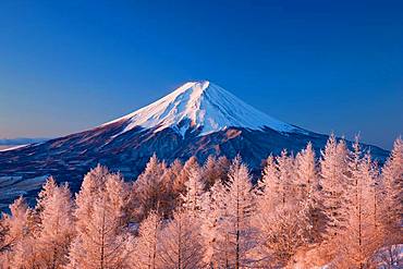 Mt. Fuji, Yamanashi, Japan