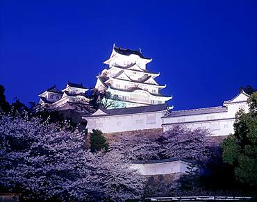 Himeji Castle and Cherry Blossom, Hyogo, Japan