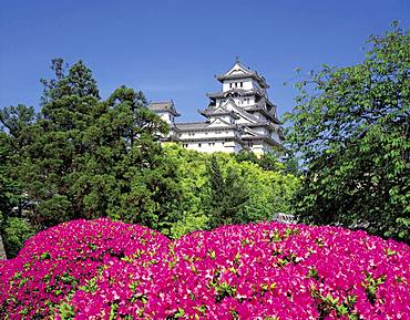 Himeji Castle, Hyogo, Japan