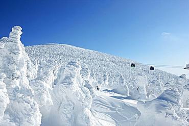 Soft Rime Of Zao And Ropeway, Yamagata, Japan