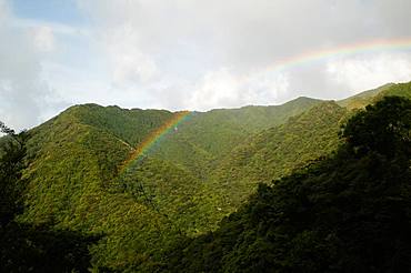 Yakushima, Kagoshima Prefecture