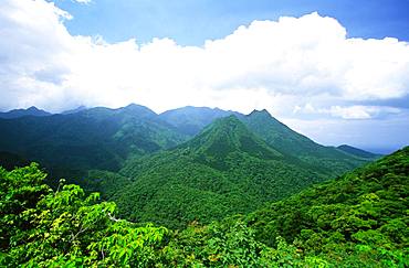 Yakushima Miyanoura Peak, Yakushima, Kagoshima Prefecture