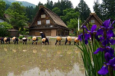 Shirakawa-go, Gifu Prefecture, Japan