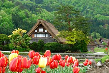 Shirakawa-go, Gifu Prefecture, Japan