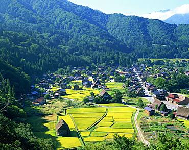 Shirakawa-go, Gifu Prefecture, Japan