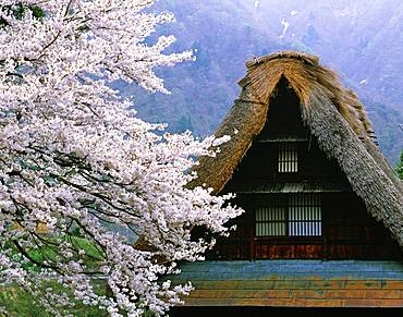 Suganuma, Gokayama Village, Toyama Prefecture, Japan