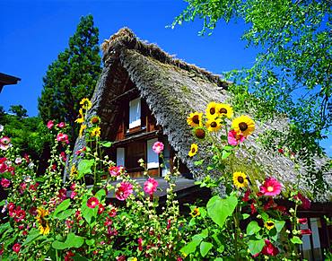 Shirakawa-go, Gifu Prefecture, Japan