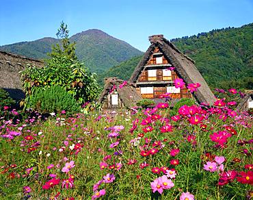 Shirakawa-go, Gifu Prefecture, Japan