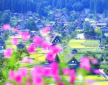 Shirakawa-go, Gifu Prefecture, Japan