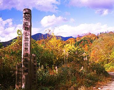 Shirakami-Sanchi, Akita, Japan