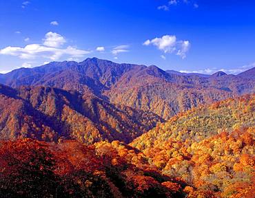 Shirakami-Sanchi, Aomori, Japan