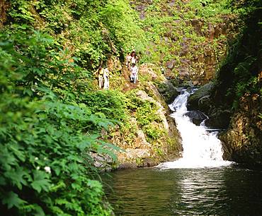 Shirakami-Sanchi, Aomori, Japan