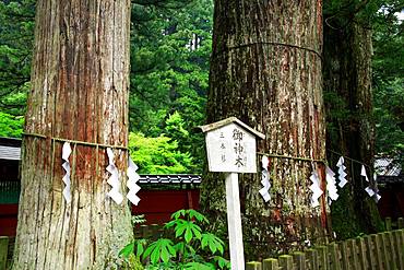 Nikko Futarasan Shrine, Tochigi, Japan