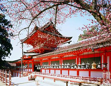 Kasuga Taisha, Nara, Japan