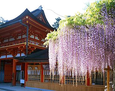 Kasuga-Taisha, Nara, Japan