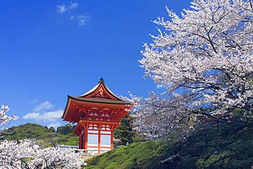 Kiyomizu Temple, Kyoto, Japan