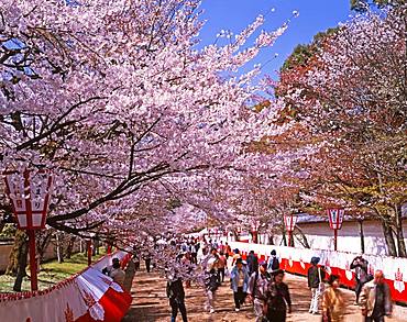 Daigoji, Kyoto, Japan