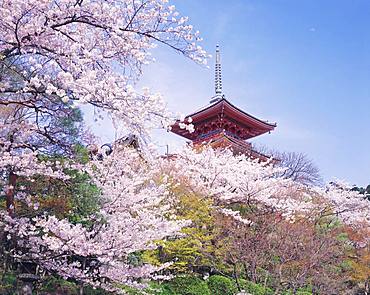 Kiyomizu Temple, Kyoto, Japan