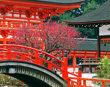 Shimokamo Shinto Shrine, Kyoto, Japan