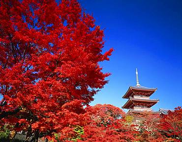 Kiyomizu Temple, Kyoto, Japan