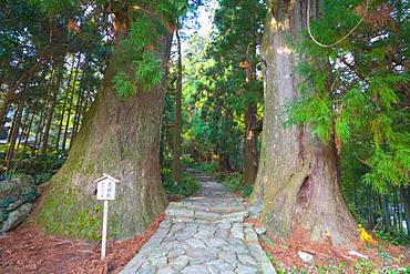 Kumanokodo, Wakayama, Japan