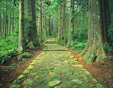 Kumanokodo, Wakayama, Japan