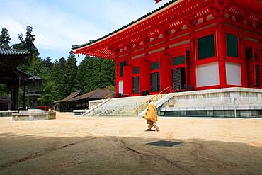 Konpon Daito, Wakayama, Japan