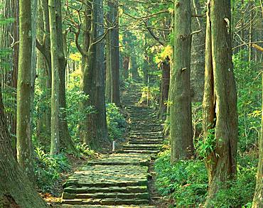 Kumanokodo, Wakayama, Japan