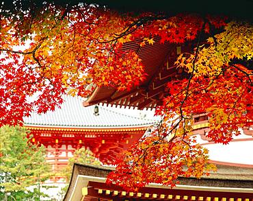 Koyasan, Wakayama, Japan