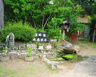 Mizunomi Ohji, Kumanokodo, Wakayama, Japan