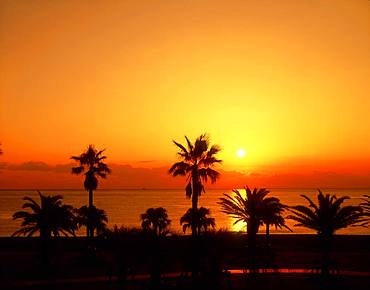 The Rising Sun of Shichirimihama Beach, Mie, Japan