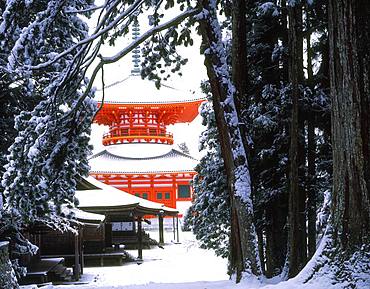 Konpondaitou, Koyasan, Wakayama, Japan