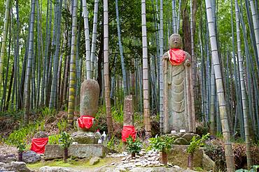 Matsumoto path, Kumanokodo, Mie, Japan