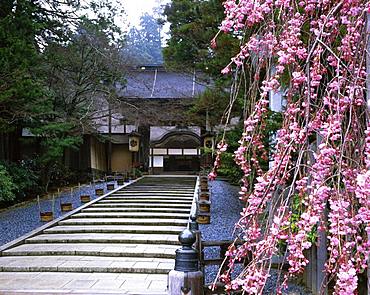 Koyasan, Wakayama, Japan