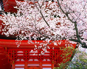 Five-story Pagoda in Itsukushima-jinja, Hiroshima Prefecture, Japan