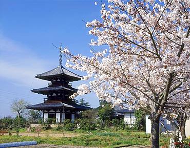 Hokki-ji, Nara, Japan